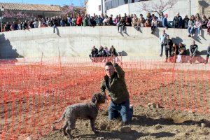 Culla celebra el XX aniversario de la Mostra de la Trufa el próximo fin de semana
