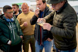 La Diputació de Castelló enaltix el valor de la tòfona negra com a generador de riquesa a l'interior de la província - (foto 2) La Diputació de Castelló enaltix el valor de la tòfona negra com a generador de riquesa a l'interior de la província - (foto 2)