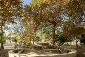 La alerta meteorológica obliga a cerrar en Segorbe parques e instalaciones deportivas al aire libre