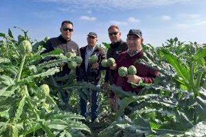 Marfruit recibe el Premio Agricultor del año de Elche por fomentar el relevo generacional y dar el salto hacia mercados internacionales Marfruit recibe el Premio Agricultor del año de Elche por fomentar el relevo generacional y dar el salto hacia mercados internacionales