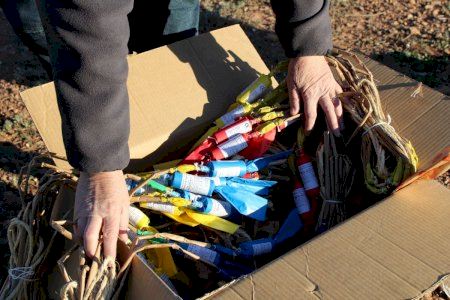 Peñarroja retrà homenatge a la Nuleta, la taronja de la Plana, en la primera mascletà de València Peñarroja retrà homenatge a la Nuleta, la taronja de la Plana, en la primera mascletà de València