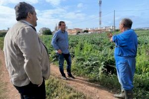 Peñíscola acuerda con los agricultores mejorar la seguridad en el campo y estudiar posibles bonificaciones fiscales para fincas cultivadas