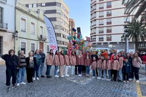 Sueca celebra la plantà oficial de la ‘Estoreta velleta’