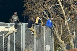 Dos coloms, una branca d'olivera i quatre migrants en la tanca: el dissenyador de la Falla Municipal de València demana disculpes