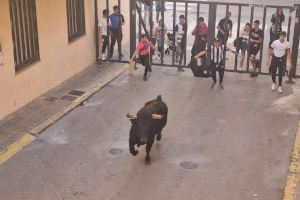 Festes Barri El Salvador: Nules viu un intens cap de setmana taurí