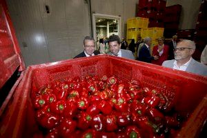 Carlos Mazón destaca el éxito del cooperativismo agrícola de la Comunitat como promotores de productos de calidad, salud y vida