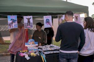 14 associacions i protectores es reunixen el 30 de març en la IV Fira de l’Adopció de Moncofa per a buscar una família als seus animals