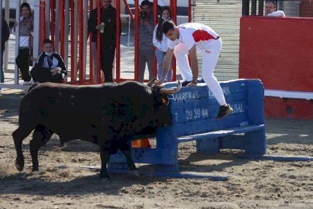 Cuenta atrás para la Pascua Taurina de Onda 2024: horarios y ganaderías