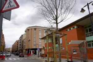 L’Avinguda Almaig estrena imatge amb el nou arbrat urbà