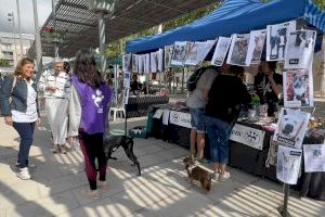 El Festival de la Adopción de Benicàssim vuelve el próximo sábado con el objetivo de concienciar sobre “adoptar en lugar de comprar”