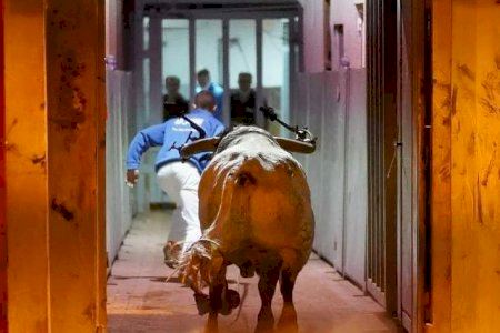 Tres cámaras 360º rotatorias y una a nivel de calle retransmitirán en directo los toros de Onda