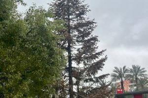 Sanjuán: "La ciutat de Catalá: extravagàncies per al centre i arbres secs per als barris"