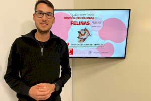 Bienestar Animal programa este viernes una jornada formativa para explicar el plan de control y gestión de colonias felinas en Crevillent