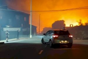 Un castillo de fuegos artificiales en Teulada calcina una casa de aperos, un coche y se cobra la vida de varios palomos