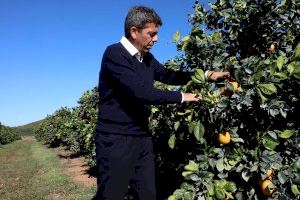 Carlos Mazón acompañará al sector primario valenciano a Bruselas para defender sus “legítimos intereses” ante las instituciones europeas