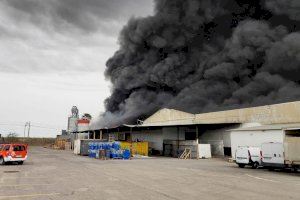 El paorós incendi de Cecotec el va causar un patinet elèctric