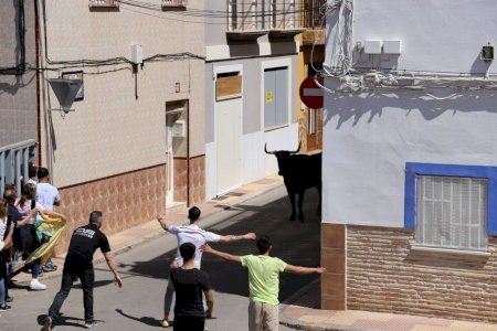 VÍDEO | Esglai en els ‘bous al carrer’ de Cullera