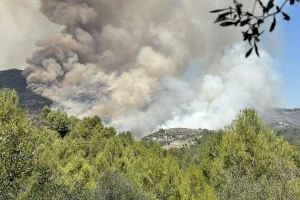 VIDEO | Alerta ante el gran incendio declarado entre Tàrbena y Xaló