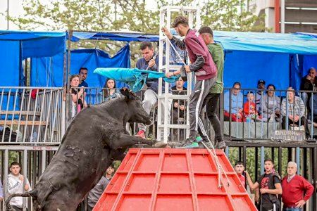 Fin de semana taurino en la Comunitat Valenciana: consulta el calendario por municipios