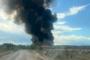 Piden no hacer deporte al aire libre y cerrar las ventanas por el incendio de  la planta de reciclaje de San Antonio de Requena