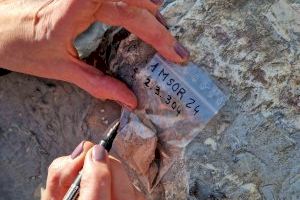 Arqueología Municipal inicia la extracción de muestras de los restos del antiguo Monumento a Sorolla - (foto 5) Arqueología Municipal inicia la extracción de muestras de los restos del antiguo Monumento a Sorolla - (foto 5)