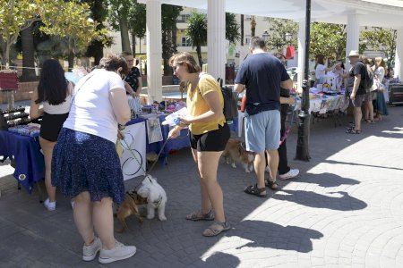 Paiporta acoge una nueva edición de la Feria Animalista
