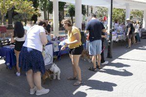Paiporta acoge una nueva edición de la Feria Animalista