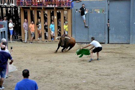 Fiestas Sant Pasqual Vila-real 2024 | Calendario de bous al carrer: toda la programación por fechas y horas