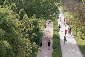 La Junta de Govern aprova el projecte per a la renovació del telecontrol de les xarxes de baixa pressió del Jardí del Túria