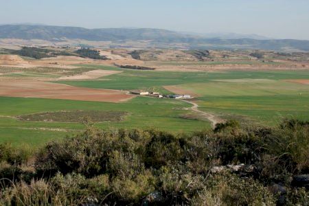 Villena recuerda la prohibición de quemas agrícolas en parcelas a menos de 500 metros de zona forestal