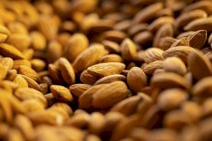 Alerta després d'arribar tres carregaments d'ametles americanes amb aflatoxines cancerígenes: La Comunitat Valenciana és la que més importa