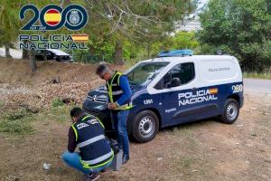Aparece en Gandia el cuerpo de una mujer desaparecida hace tres años - (foto 2)