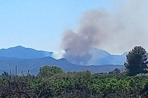 VIDEO | Mobilitzats mitjans terrestres i aeris per a sufocar l'incendi de Barxeta