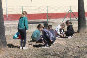 Escolars d'Almenara planten prop de 250 exemplars de pi blanc i lledoner en la localitat - (foto 3)