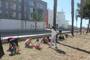 Escolars d'Almenara planten prop de 250 exemplars de pi blanc i lledoner en la localitat - (foto 4)