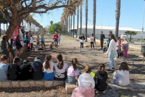 Escolars d'Almenara planten prop de 250 exemplars de pi blanc i lledoner en la localitat - (foto 12)