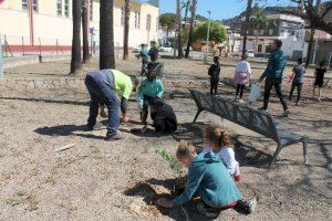 Escolars d'Almenara planten prop de 250 exemplars de pi blanc i lledoner en la localitat - (foto 15)