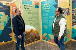 El GAL Maestrat Plana Alta i l'Ajuntament de Traiguera potencien l'emprenedoria en el municipi
