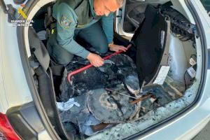 De viaje en ferry a Ibiza desde Dénia cargado de droga: así guardaba la cocaína este sospechoso pasajero