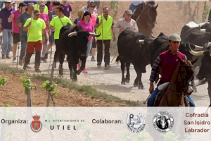 Utiel celebrará las V Jornadas de Recreación de la Trashumancia el próximo 11 de mayo