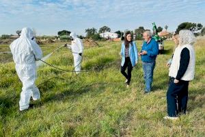 El gobierno de Castellón amplía el plan de choque para evitar la proliferación de mosquitos