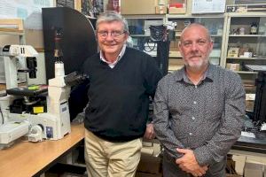 La Universitat de València participa en una nueva spin-off para la obtención en tiempo real de imágenes biomédicas 3D de alta resolución