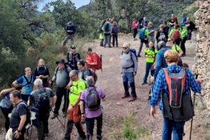 Celebración exitosa del día del Senderista en Alfondeguilla: unión y naturaleza en la Serra d'Espadà