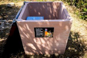 El Ayuntamiento distribuye casi un centenar de puntos de alimentación para las colonias felinas de València - (foto 2)