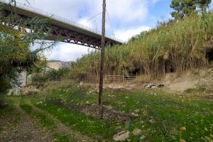 Suport a la biodiversitat, millor manteniment i accessibilitat a les zones verdes, entre les conclusions de l'enquesta d’AlcoiBioUp!