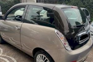 Gran mobilització per a tractar de trobar a la dona desapareguda a Castelló: crida especial a agricultors - (foto 3)