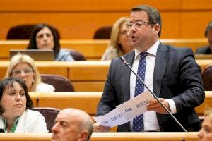 El PP reclama al menos medio millar de efectivos para reforzar las plantillas policiales en verano en la provincia El PP reclama al menos medio millar de efectivos para reforzar las plantillas policiales en verano en la provincia