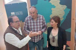 El GAL Maestrat Plana Alta i l'Ajuntament de La Jana col·laboren per a promoure l'emprenedoria El GAL Maestrat Plana Alta i l'Ajuntament de La Jana col·laboren per a promoure l'emprenedoria