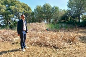 Benicarló inicia la limpieza de la lámina de agua de la Basseta del Bovalar