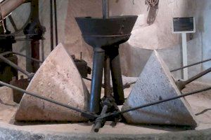 El Ayuntamiento de San Vicente del Raspeig celebra el Día Internacional de los Museos con una actividad abierta a todos los públicos